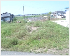  2024Ÿ34410  ֽ  ̵2 113-13      ()