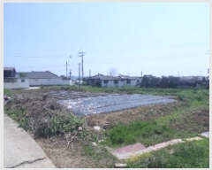  2024Ÿ34410  ֽ  ̵2 113-13      ()