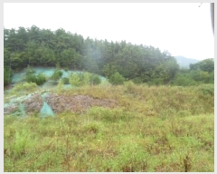  2024Ÿ��38801  �����