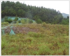  2024Ÿ��38801  �����