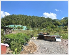  2024Ÿ38801  ֱ   326-3      (1)