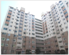  2024Ÿ40682  ֽ ϻ걸  386, 103 9 903ȣ (ȭ굿1,ϾƮ)  Ʈ