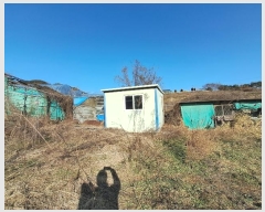  2024Ÿ��42435 ���� ���ȱ� ���ɸ� ��õ�� 1669      ����,â�����