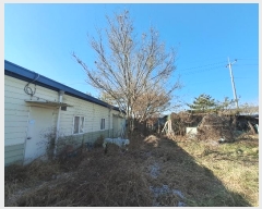  2024Ÿ��42435 ���� ���ȱ� ���ɸ� ��õ�� 1669      ����,â�����