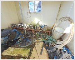  2024Ÿ��42435 ���� ���ȱ� ���ɸ� ��õ�� 1669      ����,â�����