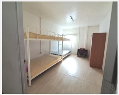  2024Ÿ��42435 ���� ���ȱ� ���ɸ� ��õ�� 1669      ����,â�����