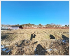  2024Ÿ��42435 ���� ���ȱ� ���ɸ� ��õ�� 1669      ����,â�����