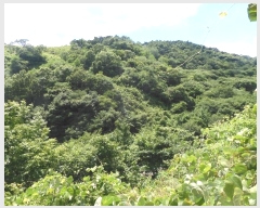  2024Ÿ2840  ӽǱ û κ 63      (1)