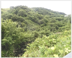  2024Ÿ2840  ӽǱ û κ 63      (1)