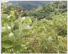  2024Ÿ2840  ӽǱ û κ 63      (1)