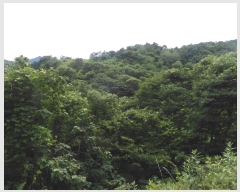  2024Ÿ2840  ӽǱ û κ 63      (1)