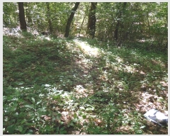  2024Ÿ2840  ӽǱ û κ 63      (1)