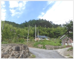  2024Ÿ2840  ӽǱ û κ 63      (1)