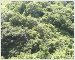  2024Ÿ2840  ӽǱ û κ 63      (1)