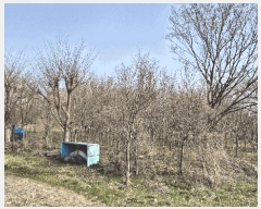  2024Ÿ��3416 ���� ���ֱ� �̼��� �̹��� 238-15      ����(��)���