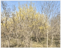  2024Ÿ��3416 ���� ���ֱ� �̼��� �̹��� 238-15      ����(��)���