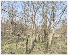  2024Ÿ��3416 ���� ���ֱ� �̼��� �̹��� 238-15      ����(��)���