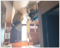  2024Ÿ��5313 ���� ������ ��絿 483-20       ���ڽü�,����,ȣ��,�������