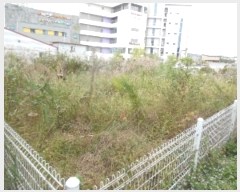  2024Ÿ��5580  �������