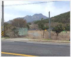  2024Ÿ��33035 ���� ���ֱ� ���ָ� �ݴ縮 223      ����(��)���