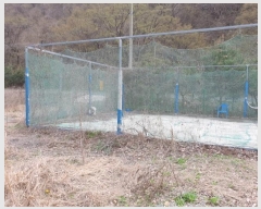  2024Ÿ��33035 ���� ���ֱ� ���ָ� �ݴ縮 223      ����(��)���