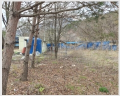  2024Ÿ��33035 ���� ���ֱ� ���ָ� �ݴ縮 223      ����(��)���