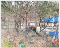  2024Ÿ��33035 ���� ���ֱ� ���ָ� �ݴ縮 223      ����(��)���