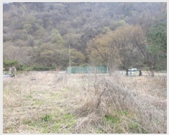  2024Ÿ��33035 ���� ���ֱ� ���ָ� �ݴ縮 223      ����(��)���