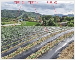  2024Ÿ��35956 ���� �ӽǱ� ����� ��ϸ� 182-5      ����(��)���