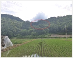  2024Ÿ��35956 ���� �ӽǱ� ����� ��ϸ� 182-5      ����(��)���