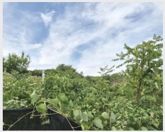  2024Ÿ��35956 ���� �ӽǱ� ����� ��ϸ� 182-5      ����(��)���