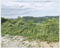  2024Ÿ��35956 ���� �ӽǱ� ����� ��ϸ� 182-5      ����(��)���