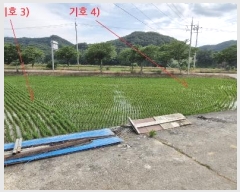  2024Ÿ��35956 ���� �ӽǱ� ����� ��ϸ� 182-5      ����(��)���