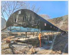  2024Ÿ��42763  ����