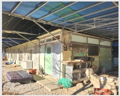  2024Ÿ��42763  ����