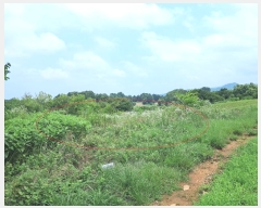  2024Ÿ��3829 ���� ���ֱ� ������ ������ 824-3      ����(��)���