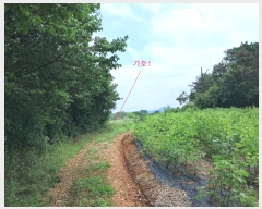  2024Ÿ��3829 ���� ���ֱ� ������ ������ 824-3      ����(��)���