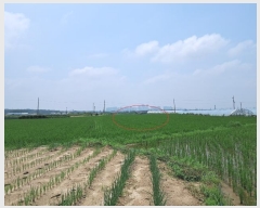  2024Ÿ��3829 ���� ���ֱ� ������ ������ 824-3      ����(��)���