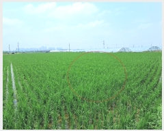  2024Ÿ��3829 ���� ���ֱ� ������ ������ 824-3      ����(��)���