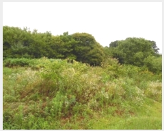  2024Ÿ��3829 ���� ���ֱ� ������ ������ 824-3      ����(��)���