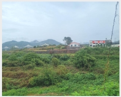  2024Ÿ��5801 ���� �ӽǱ� ��ϸ� ������ 170-27      ����(��1)���