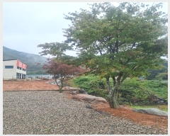  2024Ÿ��5801 ���� �ӽǱ� ��ϸ� ������ 170-27      ����(��1)���