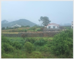  2024Ÿ��5801 ���� �ӽǱ� ��ϸ� ������ 170-27      ����(��1)���