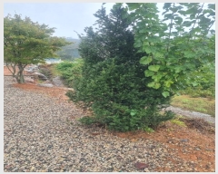  2024Ÿ��5801 ���� �ӽǱ� ��ϸ� ������ 170-27      ����(��1)���