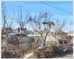  2024Ÿ��36508  ������