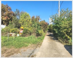  2024Ÿ40057  ֽ  õ2 376-22      (1)