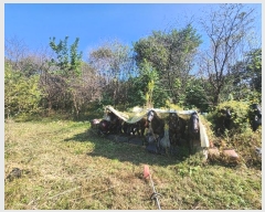  2024Ÿ40057  ֽ  õ2 376-22      (1)