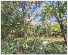  2024Ÿ40057  ֽ  õ2 376-22      (1)