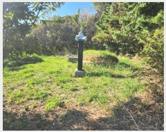  2024Ÿ40057  ֽ  õ2 376-22      (1)