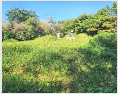  2024Ÿ40057  ֽ  õ2 376-22      (1)